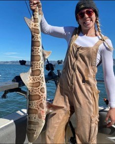 Angler holding a leopard shark catch on the bow
