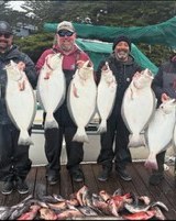 Group of anglers with a lineup of halibut and rockfish catches