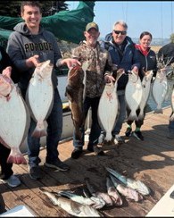 Group of anglers with a full halibut and rockfish lineup on the dock